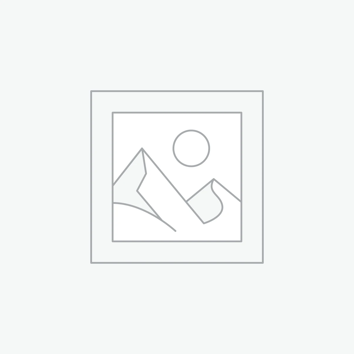 APE Store